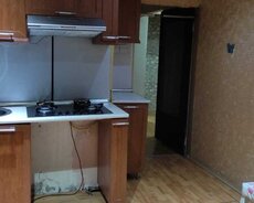 Yeni Günəşli Ab massivi kirayə ev