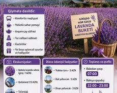 Daxili turlar