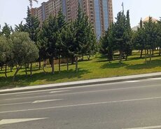 Suraxanı rayonunda 380 sot torpaq satılır