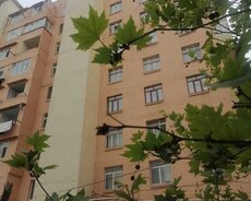 5 otaq 2/9mer 122.2kv 174000 -y. Gunesli Samir Ceferov