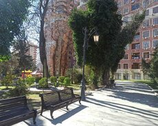 Zabitler baginin yani Semed Vurgun 11