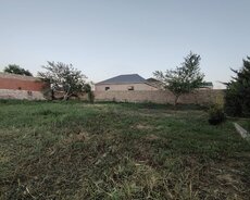 Nardaranda torpaq sahəsi satılır
