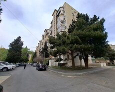 Kohne Gunewlide 2 otaqa duzelmiw menzil satilir