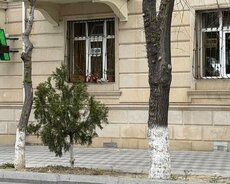 3 otaqli ev satilir (1ci mertebe obyekt kimi yararlidir)