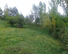 Lahıc, İsmayıllı kupçalı torpaq satılır