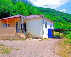 Lerikdə həyət evi satılır