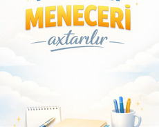 Məlumat Meneceri