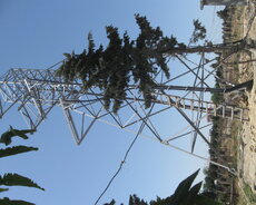 Luxury Project Mmc-nin təsis payının satılması