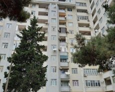 əla təklif