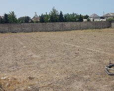 Nardaran bağları seea sbrez 3 km aralı məsaf