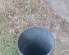 Torpaq buzovna