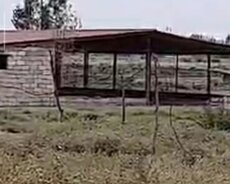 Saatlı r-n-da hazır 110 hektar kupçalı ferma satılır
