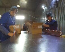 Qablaşdirici və paketleşdirici işi üçün vakansiya qəbulu