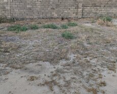 Öz həyətimə aid torpaq sahəsi