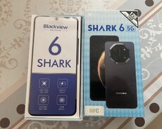 6 shark