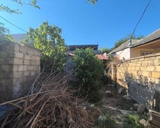 Masazırda 2 Sot Kupcalı Torpaq Sahesı Satılır