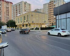 Neapol dairəsi