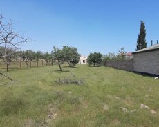 Villa Badam yaxinliqinda 16.5 sot torpaq sahesi satilir
