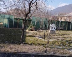 Torpaq satılır