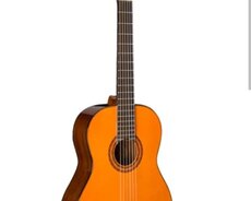 Gitara İfaçısı lazımdır