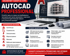 Курсы Autocad Professional