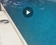 Villa günlük kiraye