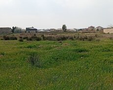 Bilgeh Nardaran baglar massivi