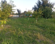 10 sot torpaq sahəsi
