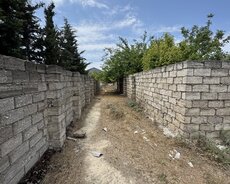 Albalılıq (Vişnyovka) Samır market yaxınlığı