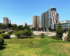 E. Akademiyasi metrosu, Shokolad tower