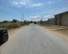 Nardaran qəsəbəsi, Ləhiş bağları