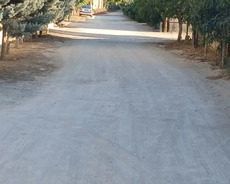 Turkan qesebesi deniz kenari kucesi