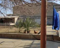 12 sot torpaq sahəsi, Mərdəkan qəs