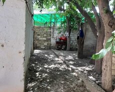 Bileceri qes Yehya Huseynov kuc
