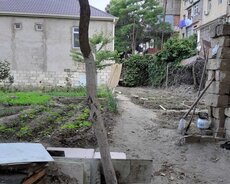 Bileceri qes Yehya Huseynov kuc
