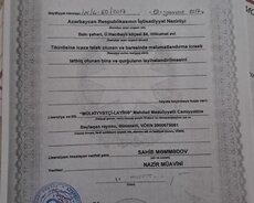 Ev satilir