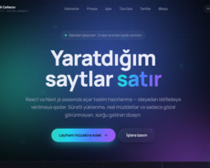 Veb saytların hazırlanması