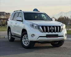 Prado icare gunluk