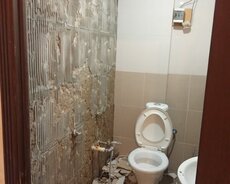 Unitaz pulsuz verilir