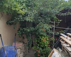 4-otagli həyət evi satılır