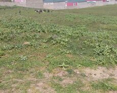 Binənin mərk.1ha kupçalı torpaq satılır