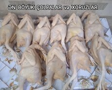Çolpa və Xoruz Əti Hədiyyəli