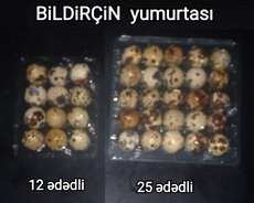 Bildirçin yumurtası
