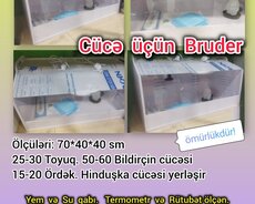 ● Cücə üçün hazır Bruder