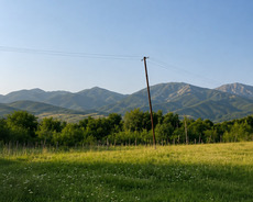 Torpag satilir