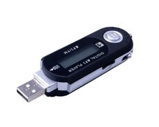 Fm Mp3 Pleyer