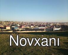 Novxanı, Pa küçəsi, bağlar massivində