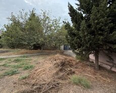 Satılır torpaq 6 sot, Şağan q