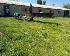 Ğöyçayda 260 hektarda ferma satılır