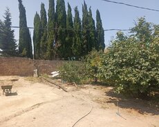 Satılır 6 sot torpaq Məmmədli qəsəbəsi